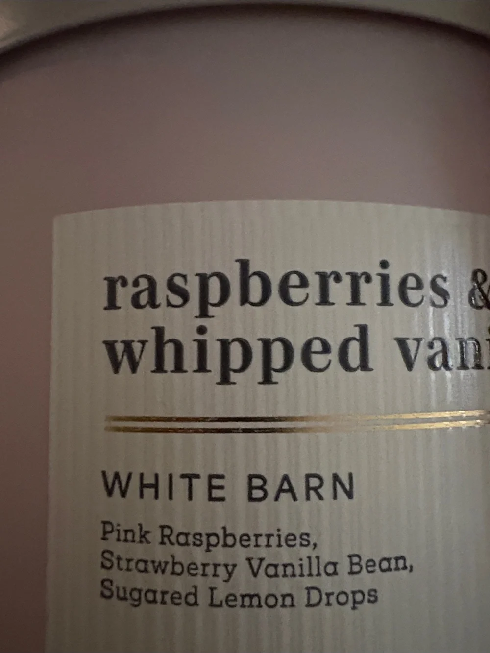 Nwt Raspberry & Whipped Vanilla” 3 wick candle & 2 wallflower plug in’s